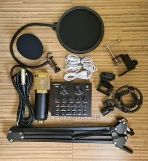 Professional Studio Condenser Microphone