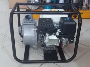 Petrol Water Pump