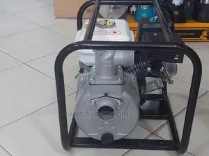 Petrol Water Pump