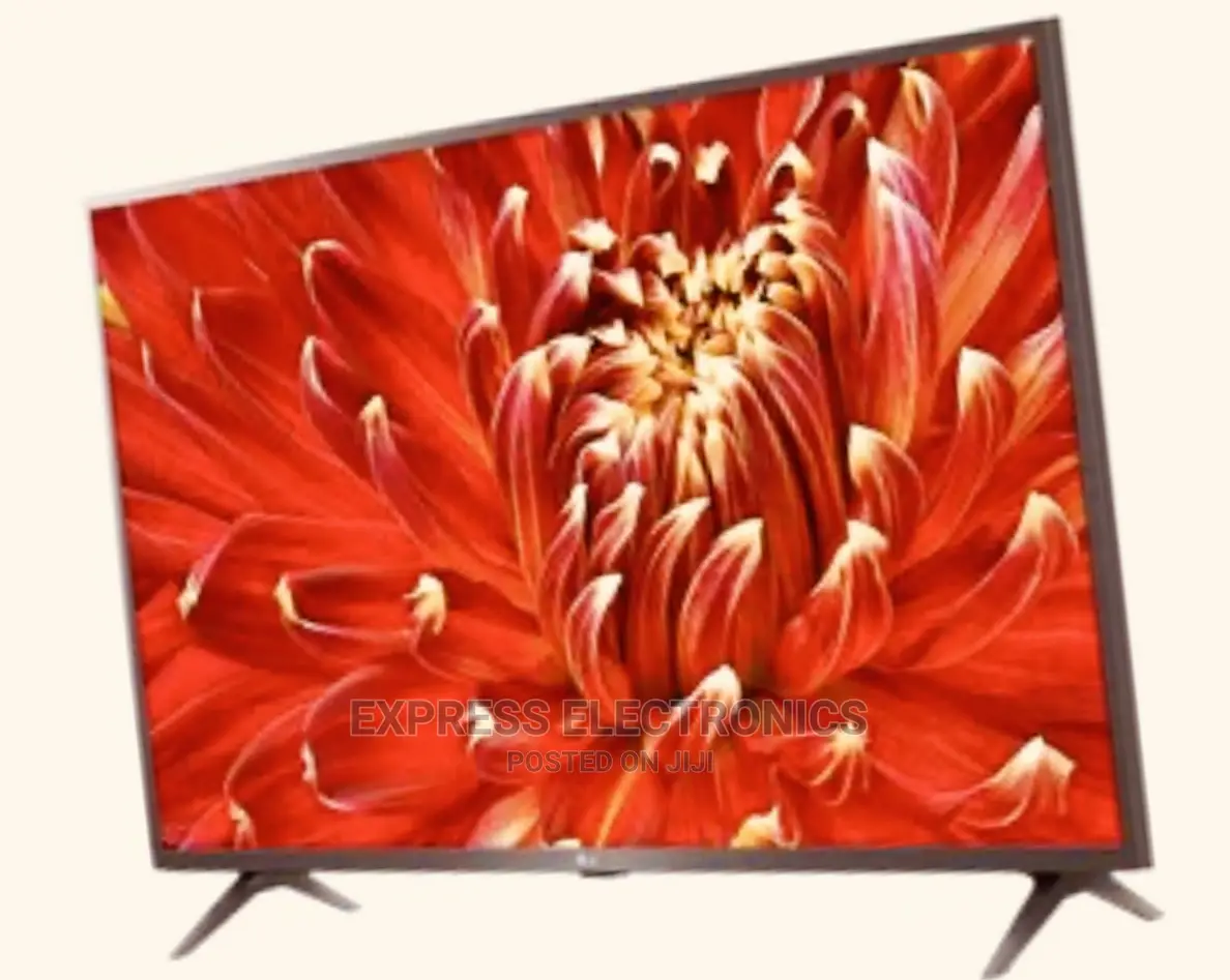 Self Luminous Display LG FHD Digital 43LM6370PVA