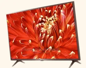 Self Luminous Display LG FHD Digital 43LM6370PVA