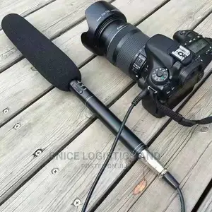 Panasonic Interview Microphone