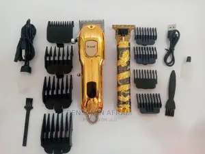 Two in One Professional Rechargeable Hair Clippers