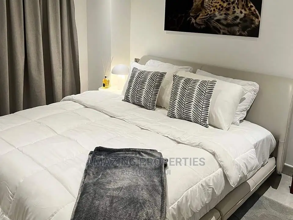 Furnished 2bdrm Apartment in East Legon for Rent