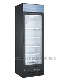 High Quality Upright Display Icestream UNI-250C 198LTRS