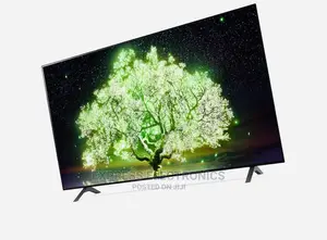 LG Oled TV 65”A1 Series Oled Design. A Gallery Worth