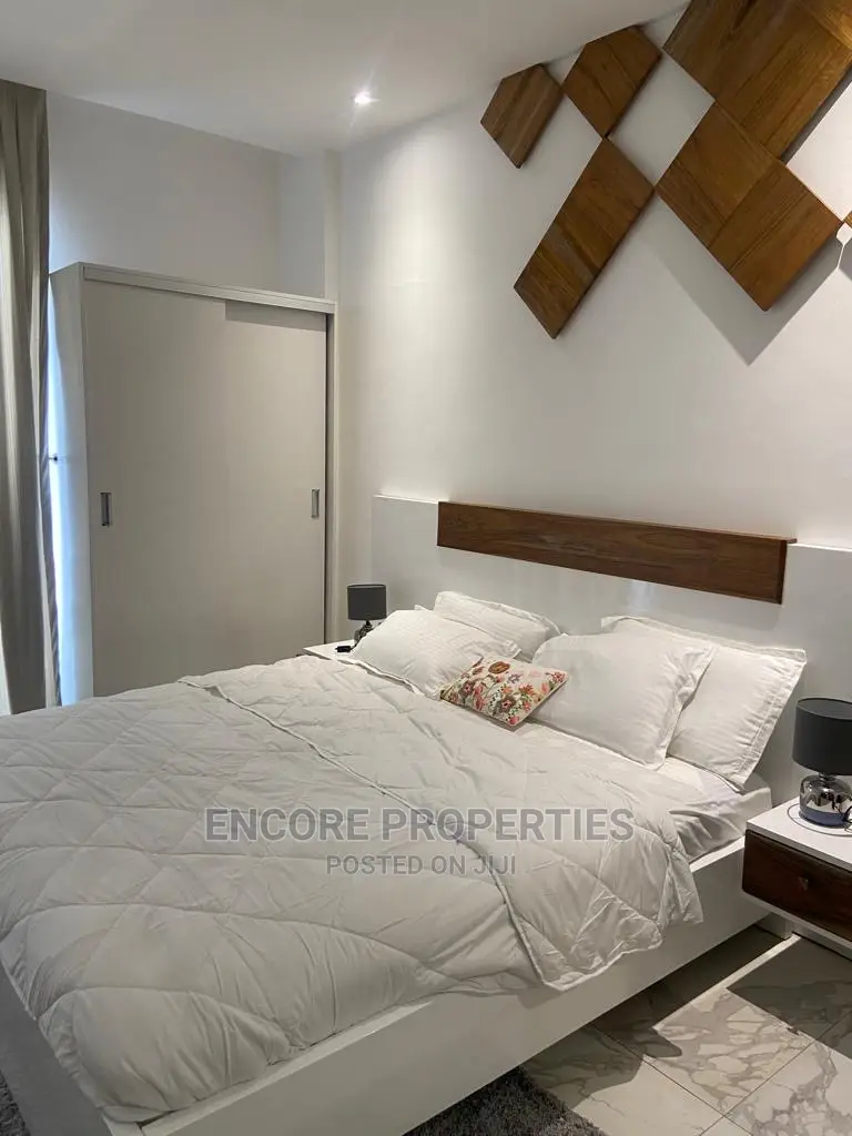 Furnished 2bdrm Apartment in Cantonment, Cantonments for Rent