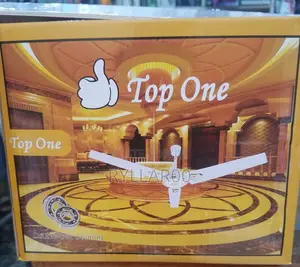 Top One Ceiling Fan