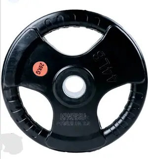Olympic Plates 20kg Pair