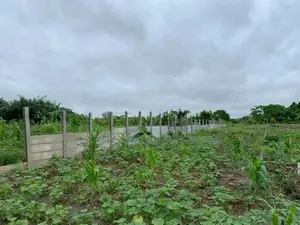 Lands for Sale