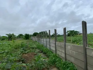 Lands for Sale
