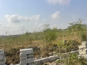 Buy a Genuine Title Land From Me Without Any Litigation