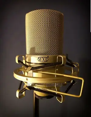MXL 990 Studio Microphone