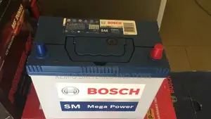 65B24L Bosch Battery