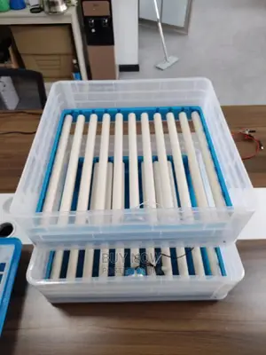 Automatic Egg Incubator(140 Eggs)Dual Power