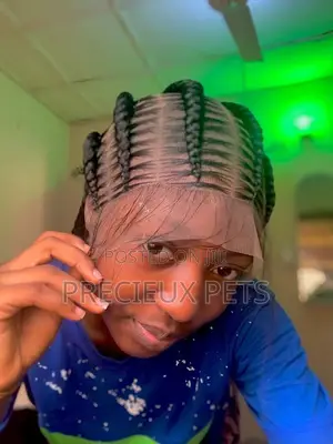 Full Lace Braided Wig