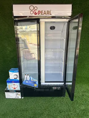 Food Safe Plastic Body Design Pearl Display Fridge 2door