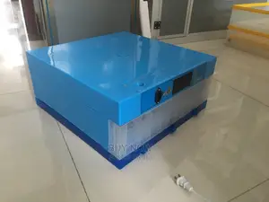 Automatic Egg Incubator (64 Eggs)