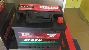 13plates Fles Power Battery - 55ah 12V