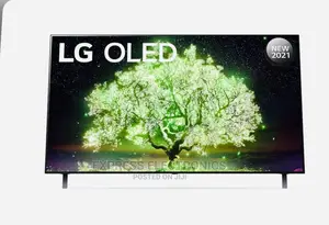 Smart Hub OLED55A1PVA OLED LG UHD Display