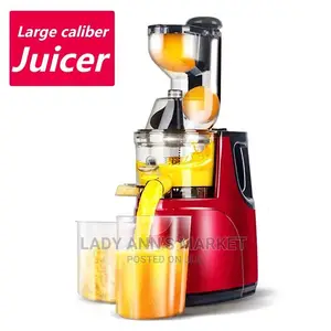Fruit Juicer
