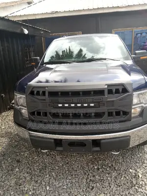 Ford F-150 Windscreen Available