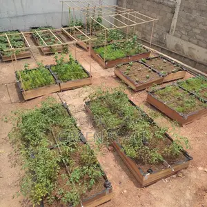 Home Garden Setup