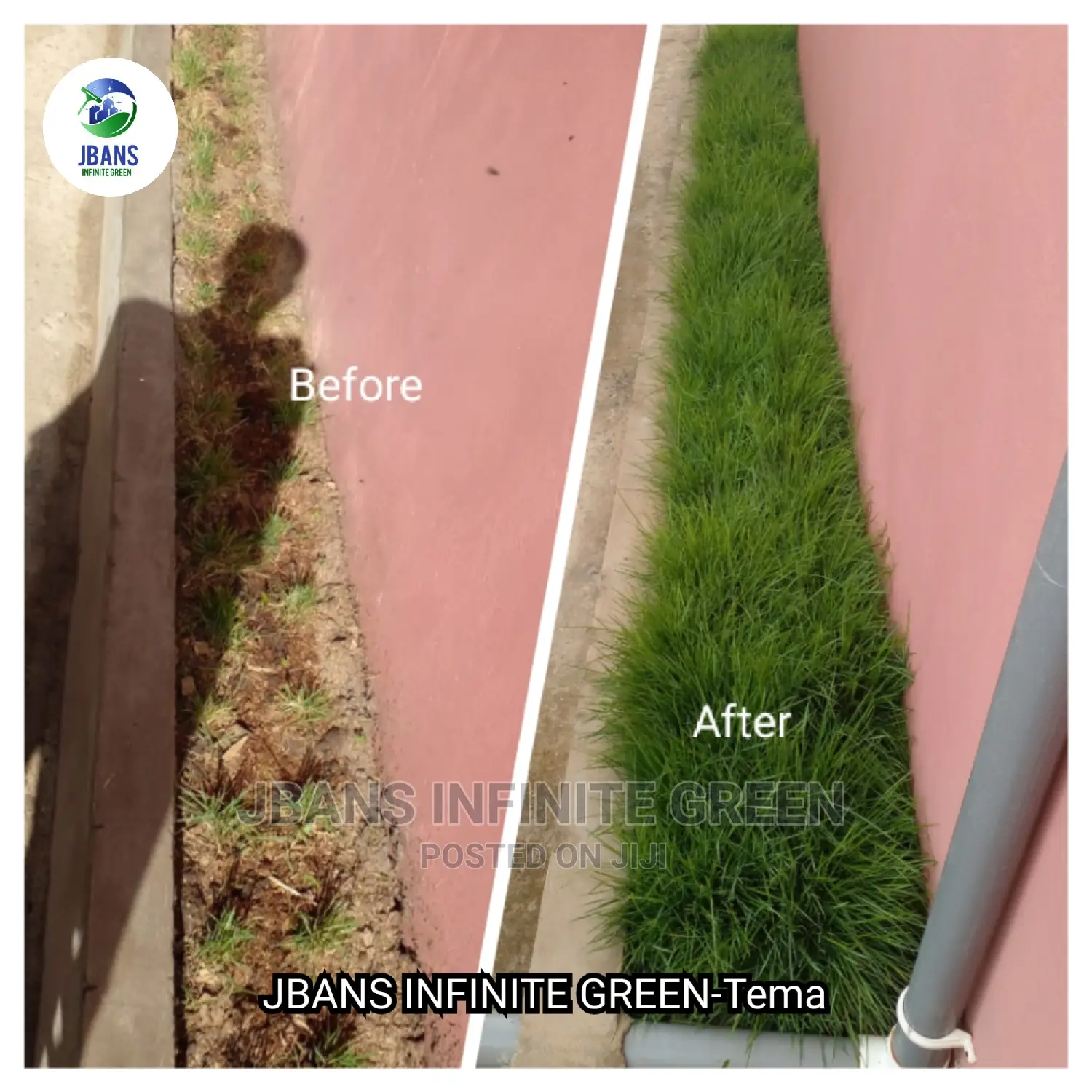 Gardening (Green Grass Growing/Installation) Services