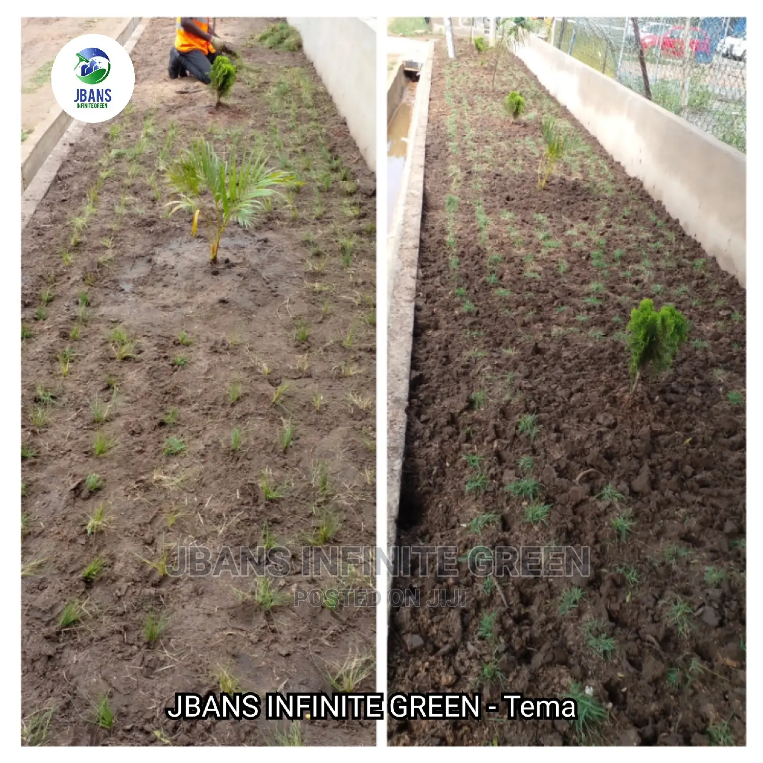Gardening (Green Grass Growing/Installation) Services