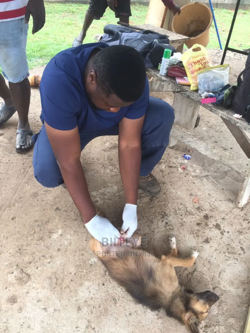 Home Veterinary Services