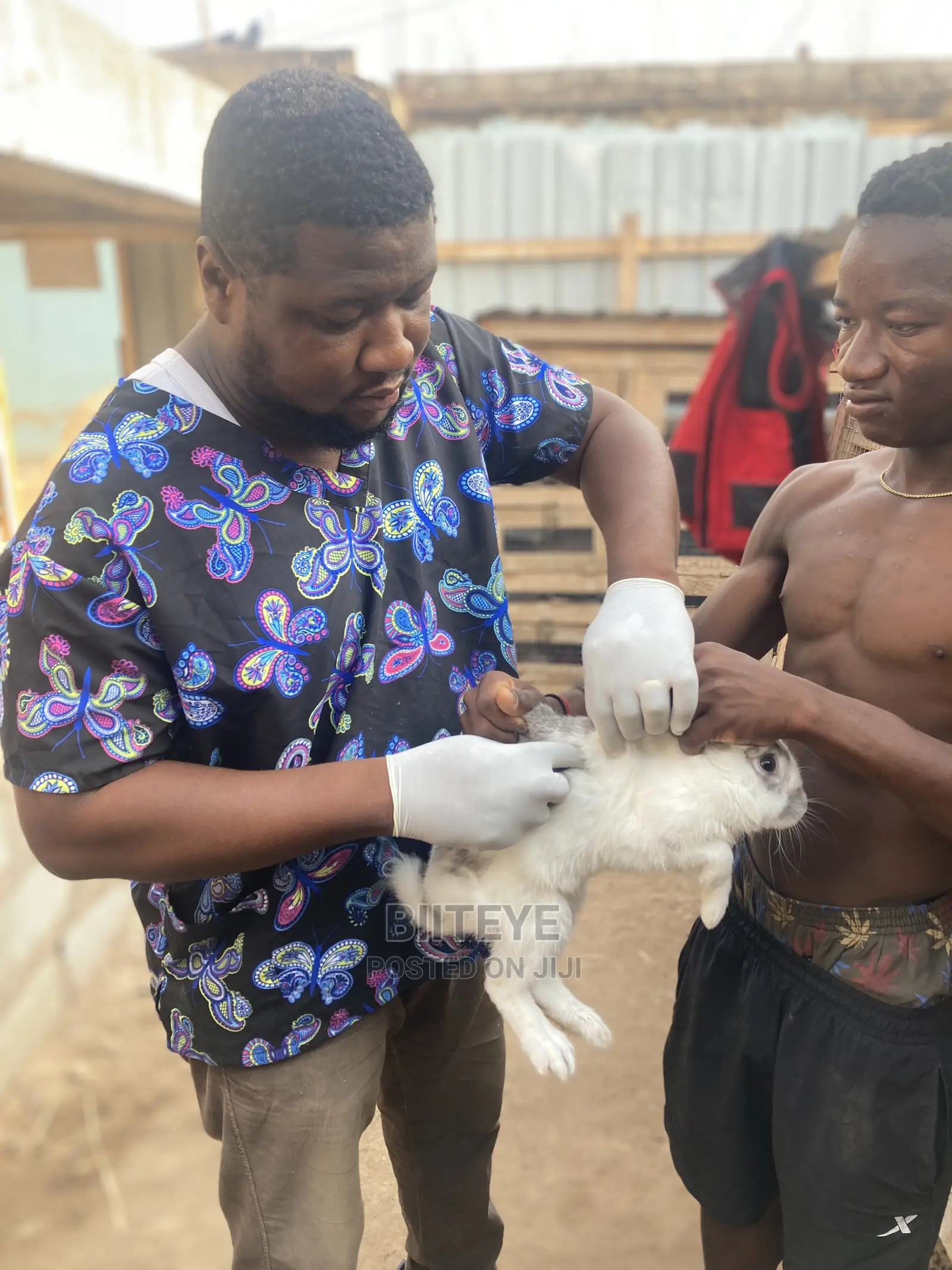 Home Veterinary Services