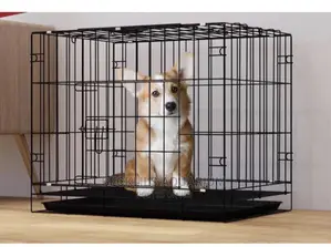 Metallic Indoor Cages