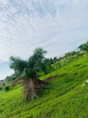 31 Acres of Land at Ayi Mensah