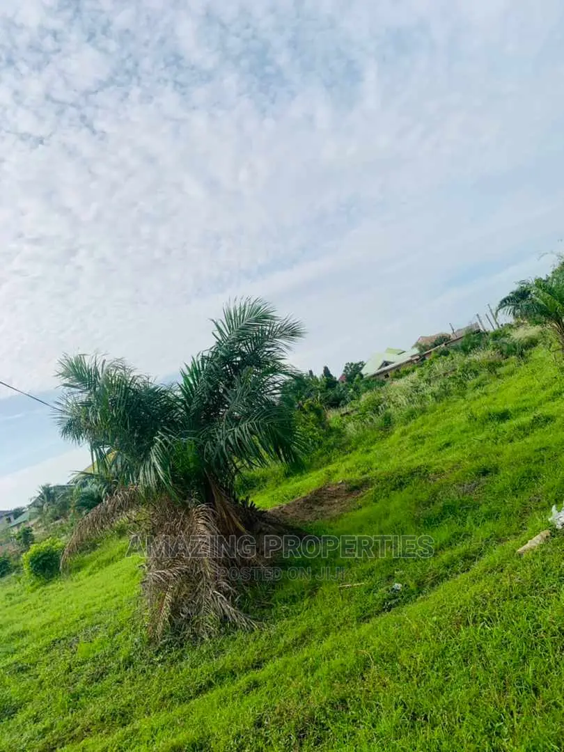 31 Acres of Land at Ayi Mensah