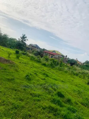 31 Acres of Land at Ayi Mensah