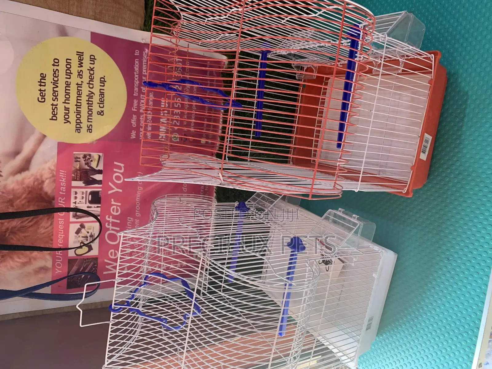 Parakeets Cage Series 2