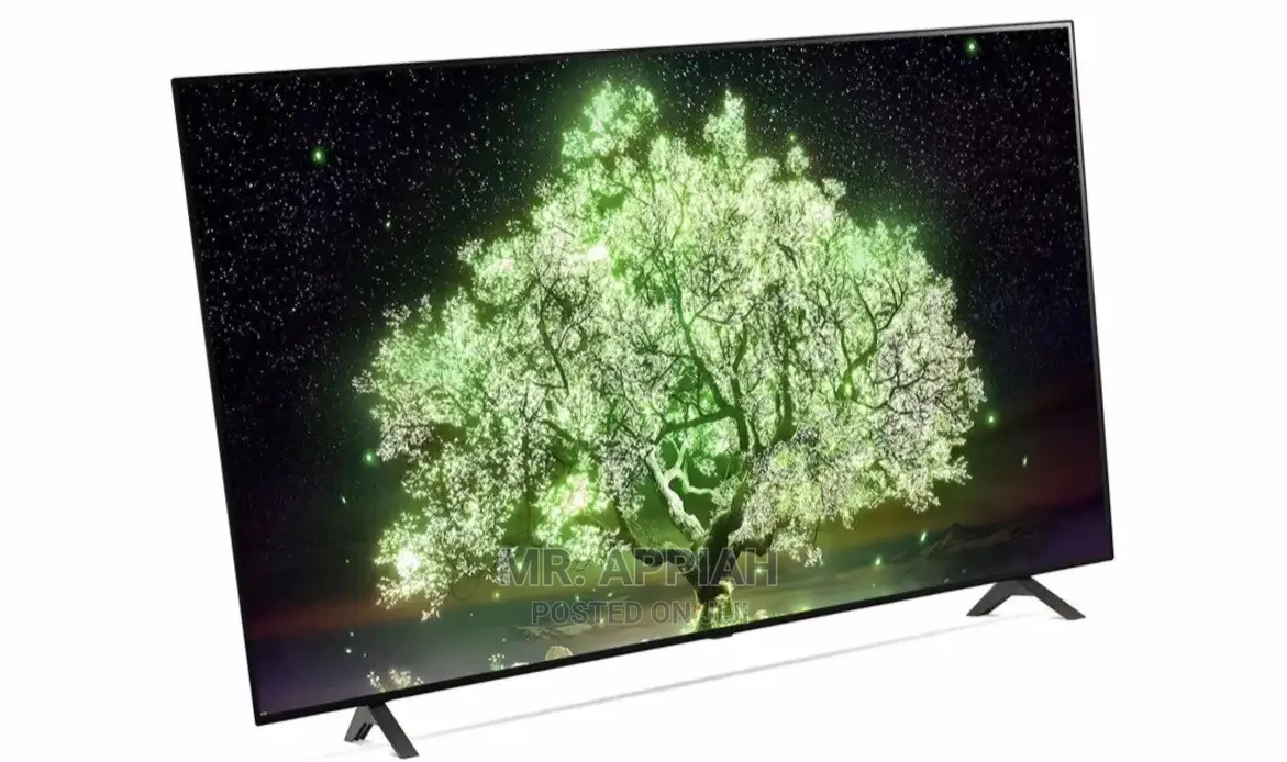 LG Oled Tv 55a1pva