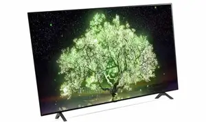 LG Oled Tv 55a1pva