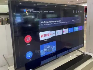 Sony 55x81j