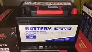 15 Plates Pofirst Batteries