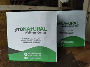 Paper Bag for Corporate Institutions