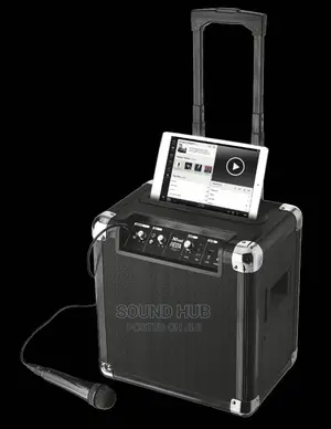 Trust Fiesta Party Speaker (From Germany)
