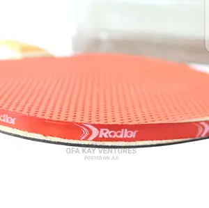 Paddle and Table Tennis Set