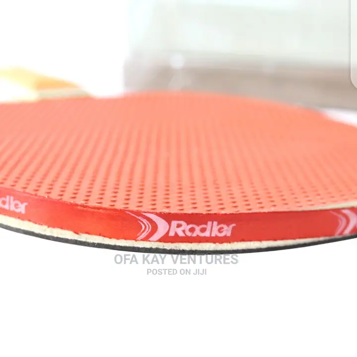 Paddle and Table Tennis Set