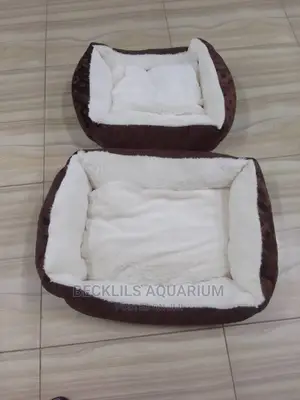 Quality Beds for Dogs