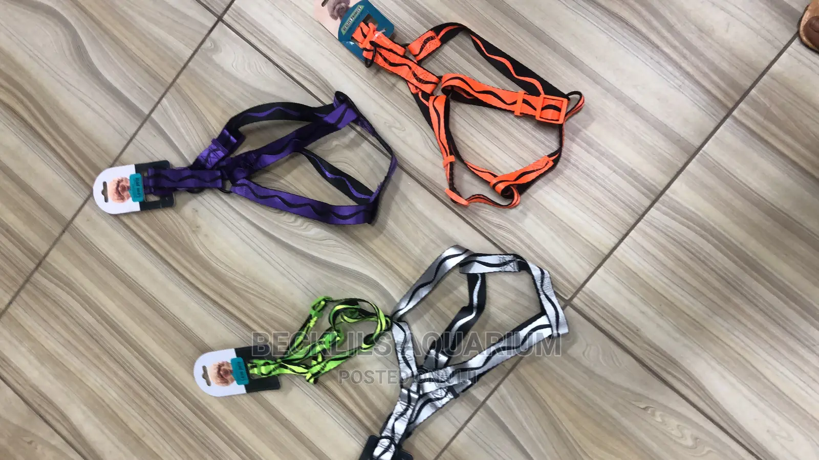 Harness Available for Dogs