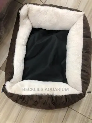 Beds for Small Dogs