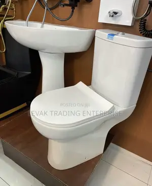 Basin and Toilet Seat Bowl