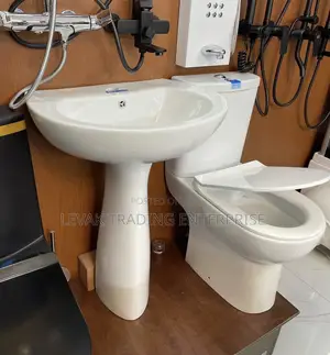 Basin and Toilet Seat Bowl