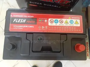 15 Plates Flesh Power Batteries
